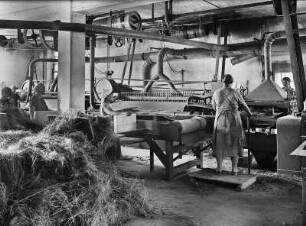 Neusalza-Spremberg. Flachsröste. Arbeitsablauf an der Flachsschwingturbine
