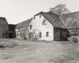 Fotografie, Brauna