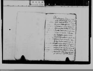 Grafschaft Sayn-Wittgenstein ./. Grafschaften Nassau-Dillenburg und Hanau: Vormundschaft in der Grafschaft Hanau