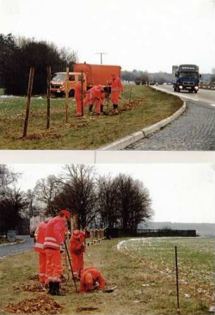Parkplatz bei km 229 Montage Jägerzaun