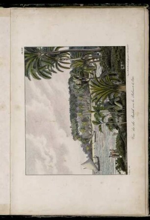 Pl. XIV. Vue des iles Radak avec les Palmiers de Cocos