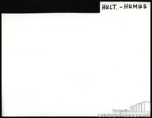 HULT.-HUMUS