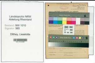 Entnazifizierung Lieselotte Dilthey , geb. 08.08.1903 (Kommanditistin)