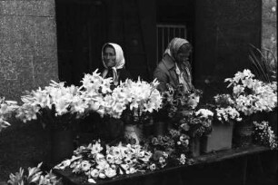 Zagreb, Agram: Blumenstand
