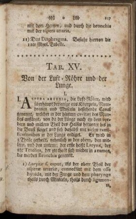 Tab. XV. Von der Luft-Röhre und der Lunge.