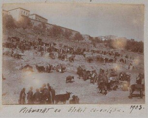 Viehmarkt an birket es-sultan [Sultansteich, Jerusalem].