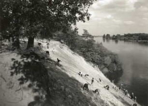 Fläming. Rechtes Elbufer unterhalb Wittenberg bei Griebo. Steilhang des Flämingrandes (von der Elbe angeschnittenes Prallufer). Blick stromauf bei Hochwasser mit spielenden Kindern aus dem Schulllandheim