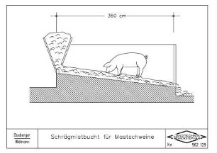 Schrägmistbucht für Mastschweine