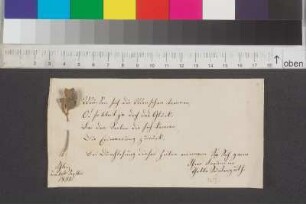 Einträge Bl. 1 - 10