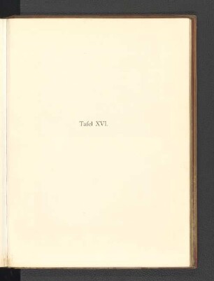 Tafel XVI.