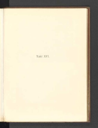 Tafel XVI.