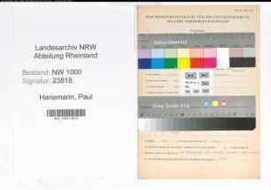 Entnazifizierung Paul Hanemann, geb. 09.09.1906 (Vertreter)