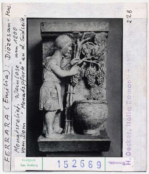 Ferrara: Diözesanmuseum, Monatsrelief vom Dom, Weinlese