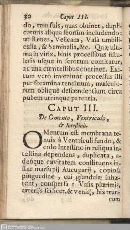 Caput III. De Omento, Ventriculo, & Intestinis