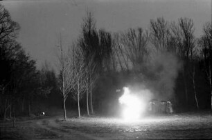 Breisach: Rheinwald bei Breisach; Ausbrennen von Munition