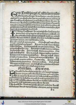 Eyn Trostspiegel