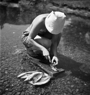 Beim Fischezerlegen