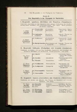 Tabelle B: Drei Hauptstufen in der Phylogenie der Vertebraten.