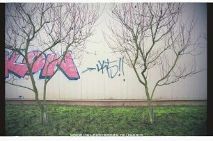 iKON
