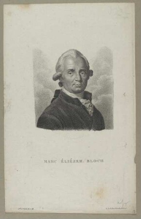 Bildnis des Marcus Elieser Bloch