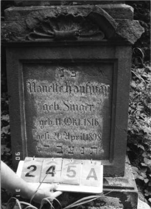 Grabstein 245 (Index: 99790246) Maße HxBxT: 210x62x39 cm Symbolik: Konche: Grabstein 245A