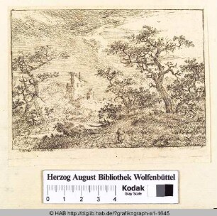 Landschaft mit Ruine und Wanderer