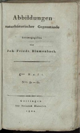 6: Abbildungen naturhistorischer Gegenstände