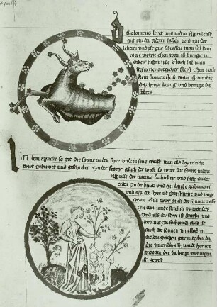 Illumination eines Lehrbuchs der Astronomie: :Schriftspiegel und Medaillons mit Tierkreiszeichen Stier und Monatsbild April mit Frau und Kind mit Blütenzweigen