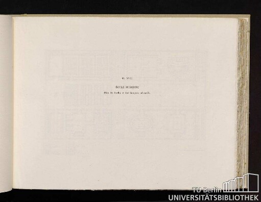 Pl. XVII. École moderne. Plan du jardin et des bosquets éducatifs.