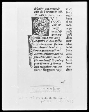 Bernhard von Clairvaux, Sermones in Cantitum Canticorum — Initiale Q (uidam), Folio 4 recto