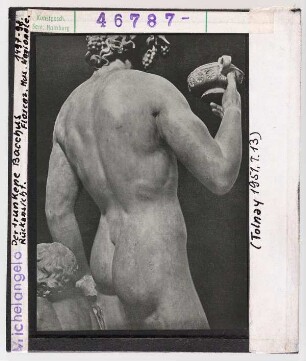 Michelangelo: Michelangelo: Bacchus und Faun, Detail Rückansicht. Florenz, Museo Nazionale