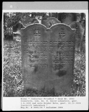 Grabstein von Löb, Sohn des David Lohnstein (gestorben 1835.06.01) und sein Bruder Nete (gestorben 1828.12.12)