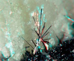 Mineralien, vmtl. alle von Offermann in Arlesheim, Schweiz, fotografiert