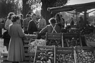 Obst- und Gemüseverkauf an einem ambulanten Straßenstand