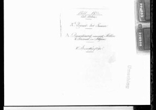 Heiratsgesuche (1851-1882)
