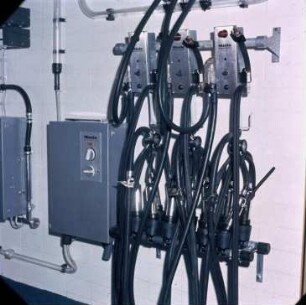 Fotografie: Melkstand, Rohrmelkanlage, Melkzeug, Reinigungstechnik