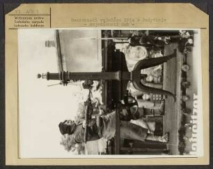 Heimatfest 1954 in Bautzen - Festumzug : Domizniski swjedźeń 1954 w Budyšinje - swjedźenski ćah