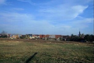 Blick zum Ort über ein Feld