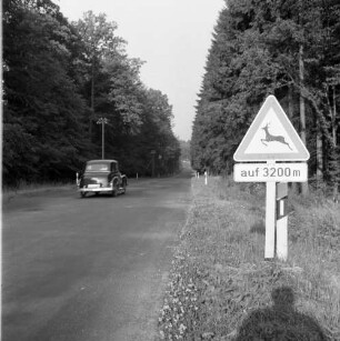 Fahrendes Auto auf einer Landstraße. Am Straßenrand Verkehrszeichen "Achtung Wildwechsel" mit Zusatz "auf 3200 m"