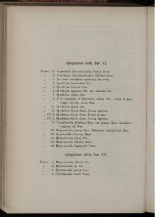 Spiegazione della Tav. VI. bis] Tav. XIII.