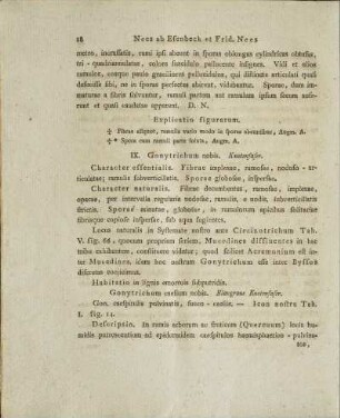 IX. Gonytrichum nobis.