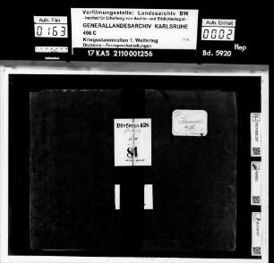Divisions-Fernsprechabteilung 428 [Divferna 428]
