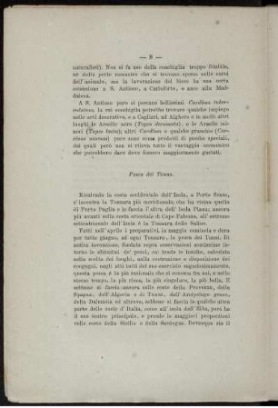 Pesca del Tonno.
