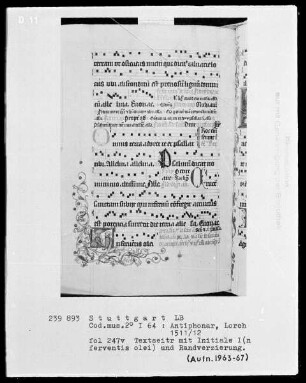 Antiphonarium (Benediktinerhandschrift) — Initiale I (n ferventis olei) mit männlichem Kopf und Pfau, Folio 247verso