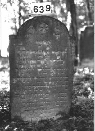 Grabstein 639 (Index: 99900621) Material: Sandstein Zustand: angewittert, unten stark verwittert Maße HxBxT: 100x57x9 cm Beschreibung: Stele mit eingezogenem Rundbogenabschluss, im Bogenfeld Volutenranken und Blüte Symbolik: Blüte, Volutenranken: Grabstein 639