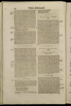 Caput VI. De Loligine Maiori, & minori.