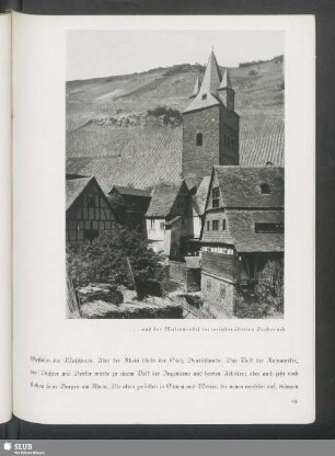 und der Malerwinkel im weinberühmten Bacharach