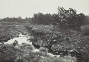 Erzgebirge, Georgenfelder Hochmoor, verfallener Torfstich