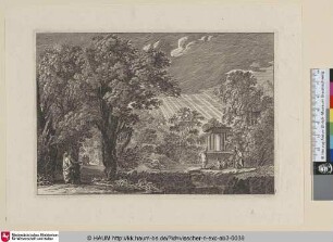 [Bewaldete Landschaft; Wooded landscape]