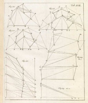 Tab. XVII